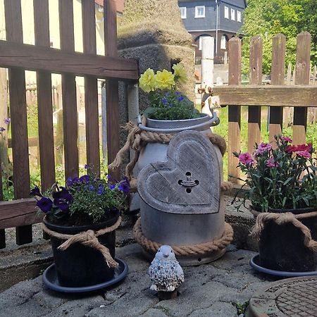 Haus Emma, Im Herzen Der Oberlausitz Kottmar Kültér fotó